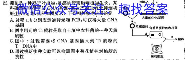 [武汉五调]2024届湖北省武汉市高中毕业生五月调研考试数学