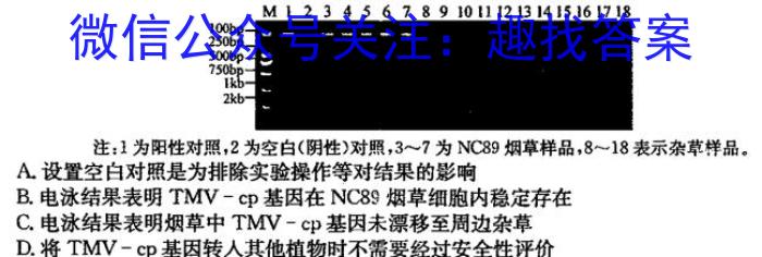 衡水金卷先享题2023-2024学年度下学期高三一模考试数学