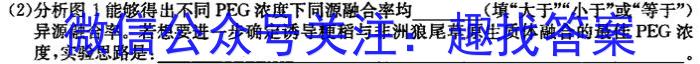 安徽省2024年肥东县九年级第二次教学质量检测数学