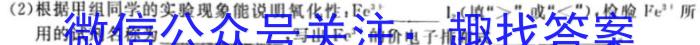 江西省2025届七年级《学业测评》分段训练（八）化学