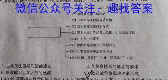 2023年广西初中学业水平适应性考试(压轴题)历史