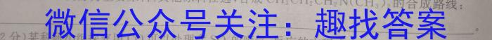 安徽第一卷·2022-2023学年安徽省七年级下学期阶段性质量监测(七)化学