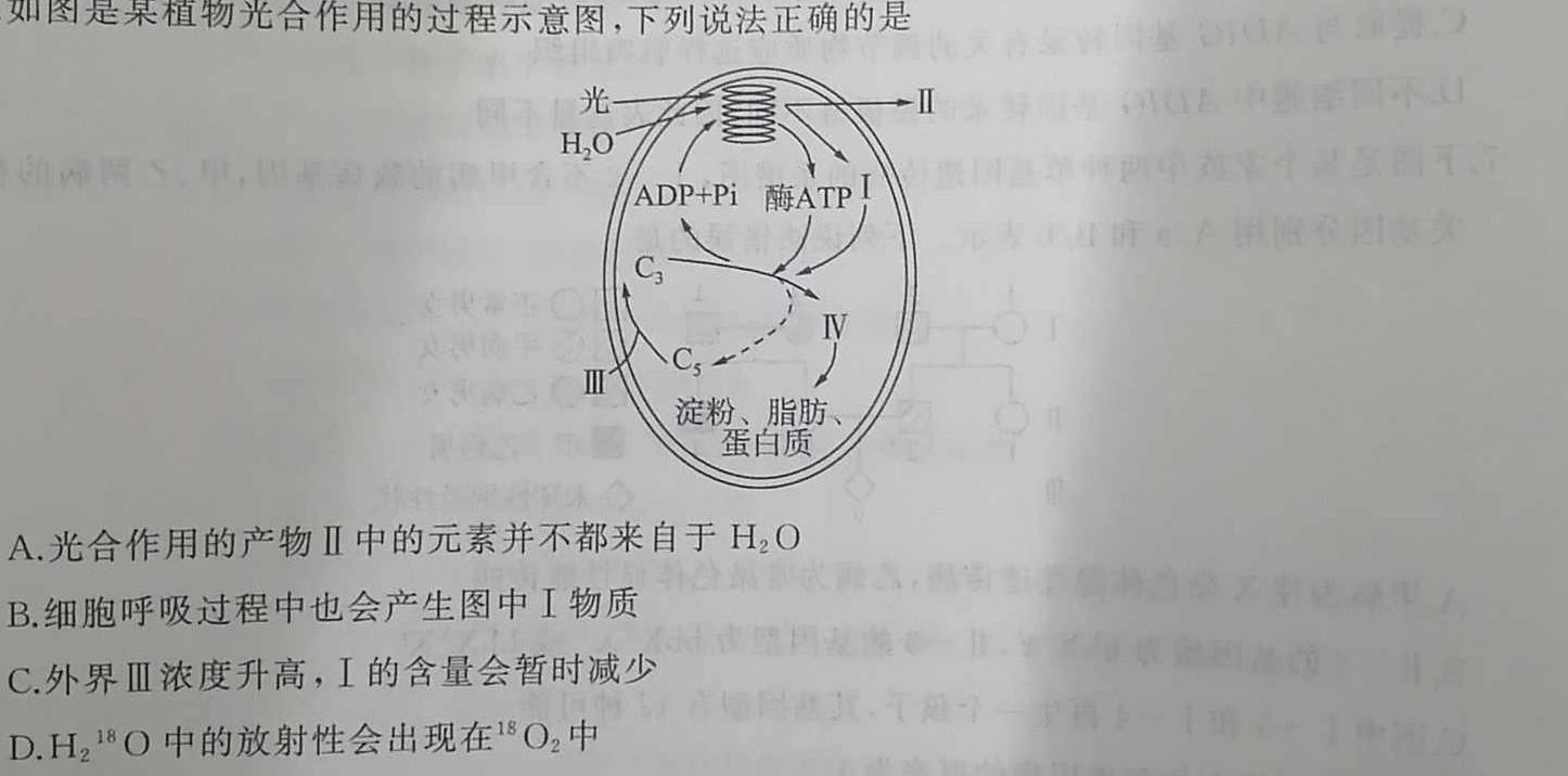 2023年新教材老高考地区普通高等学校招生全国统一考试(七)生物