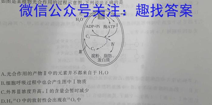 2024年山西初中学业水平测试质量调研试卷(三)数学