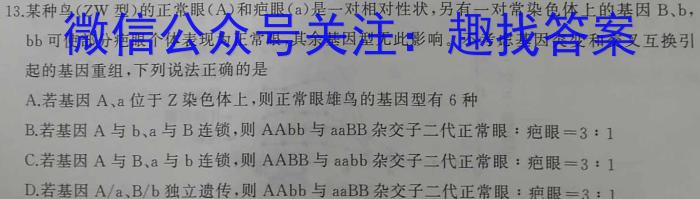 2024年全国普通高等学校招生统一考试·A区专用 JY高三模拟卷(五)5数学