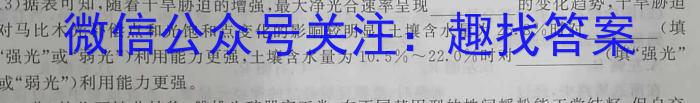 安徽省2024届耀正优+12月高三名校阶段检测联考数学