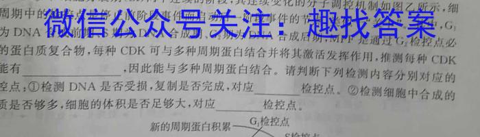 ［河南大联考］河南省2025届高三年级上学期8月联考数学