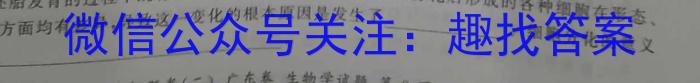 广东省肇庆市2023-2024学年第二学期高一年级期末教学质量检测数学