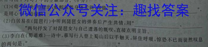 安徽省宿州市埇桥区教育集团2024-2023学年度八年级第二学期期末学业质量检测语文