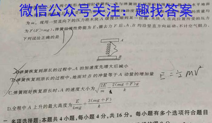 名师卷 2023届普通高等学校招生全国统一考试仿真模拟卷.物理