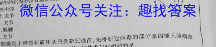 陕西省安康市2023-2024学年下期八年级期末综合素养评估数学