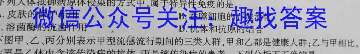 陕西省2023-2024第二学期高二期末考试数学