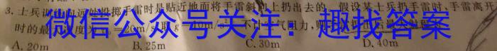 文博志鸿 2023年河南省普通高中招生考试模拟试卷(信息卷一)物理`