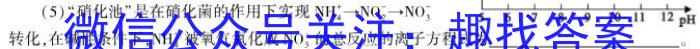 2023年山西省中考信息冲刺卷·压轴与预测（二）化学