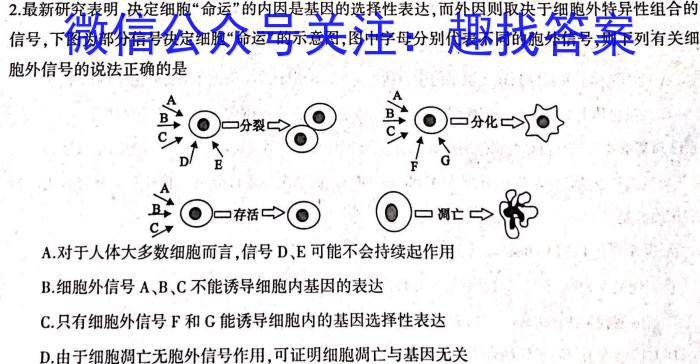 2024年陕西省高三教学质量检测试题(二)数学