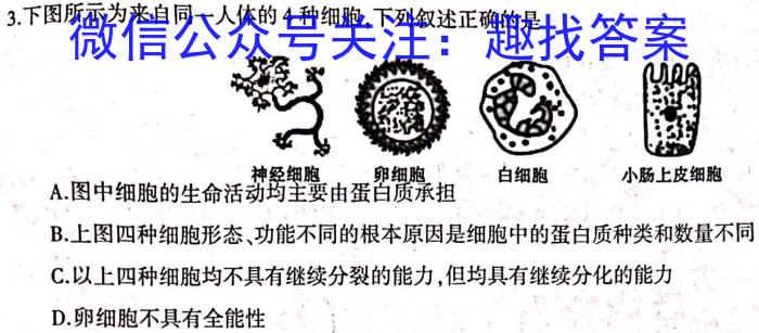 四川省成都市蓉城联盟2022-2023学年高二下学期期末联考生物试卷答案