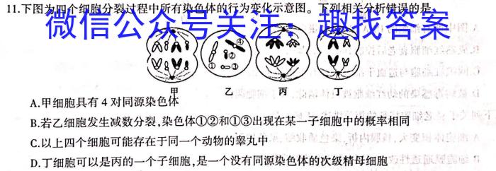 陕西省七年级2023-2024学年度第二学期期末质量检测数学