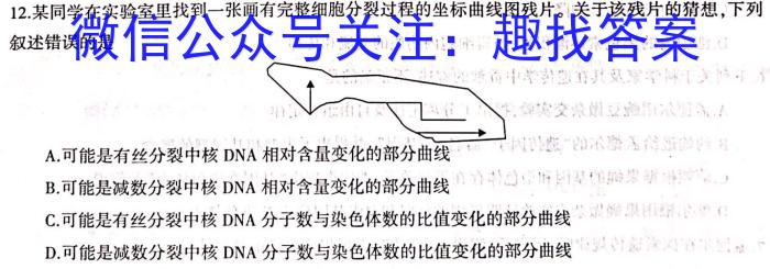 2024届河北省高三大数据应用调研联合测评(VII)数学