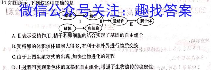 樊城区2023年中考适应性考试数学