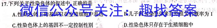 安徽省淮南市潘集区全区2023-2024学年度第一学期八年级期末教学质量检测数学