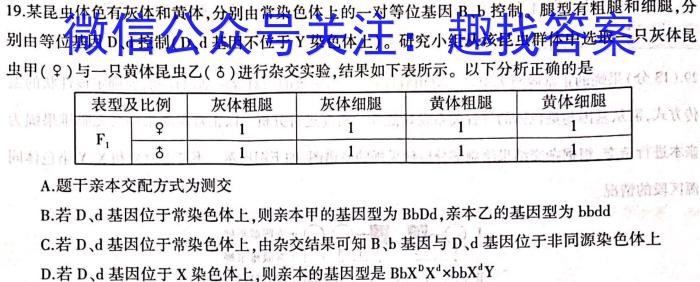 安徽省亳州市2024年3月份八年级模拟考试数学