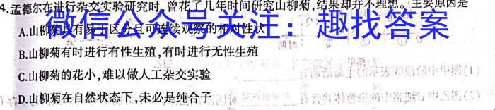 天一大联考 湖南省2024届高三4月联考数学