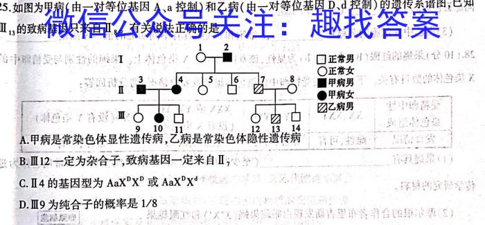 2024年河北省初中毕业生升学文化课模拟考试（6.6）数学