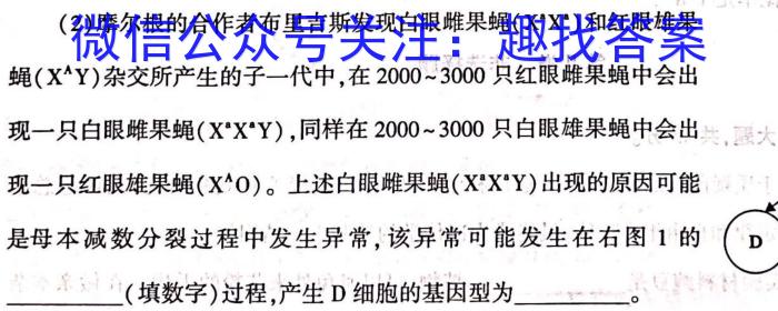 2023年岳阳县高三下学期新高考适应性测试数学