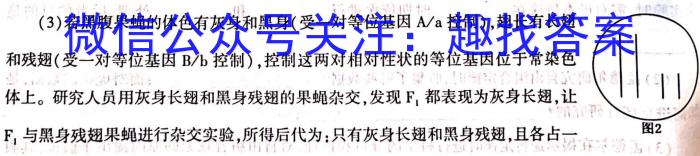 2024普通高等学校招生全国统一考试·模拟信息卷(一)1数学