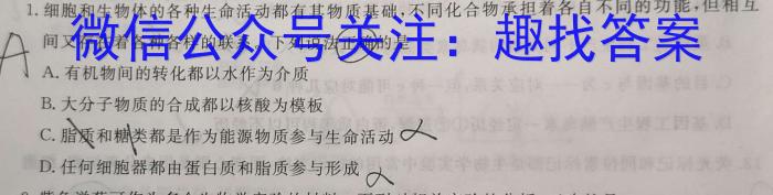 河北省2023-2024学年高一第一学期期末调研考试(24-176A)数学