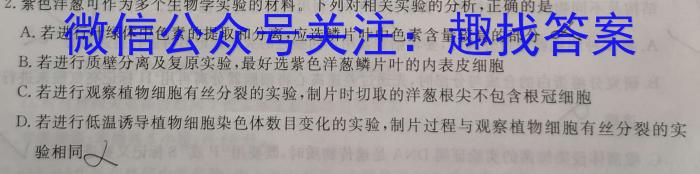 九师联盟·河南省商丘市2023-2024学年高二下学期期中考试（4.27）数学