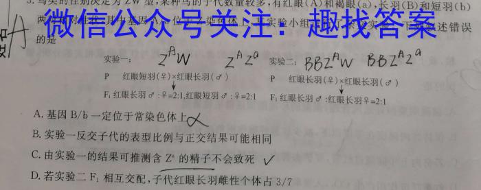 衡中同卷 2023-2024学年度上学期高三年级四调考试数学