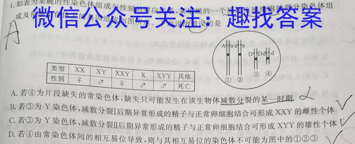 河北省高碑店市2023-2024学年度第一学期第一次阶段性教学质量监测（初三）文理 数学