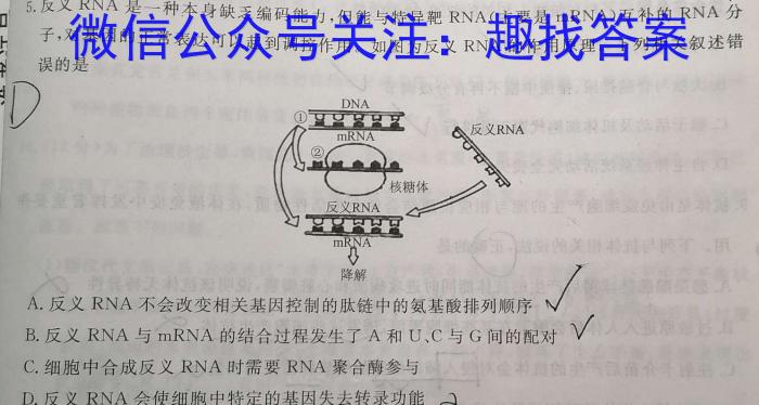 陕西省2024~2023学年度八年级下学期阶段评估(二) 7L R-SX生物