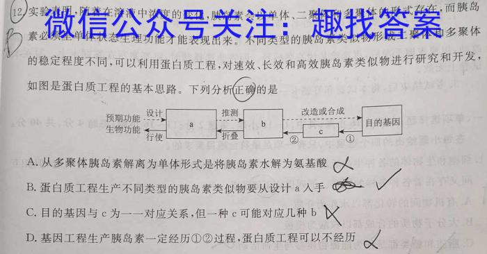 [大连一模]2024年大连市高三第一次模拟考试数学