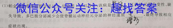 2024届河南省顶级名校高三3月第一次模拟考试数学