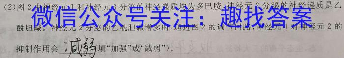 ［陕西大联考］陕西省2025届高三年级12月联考数学