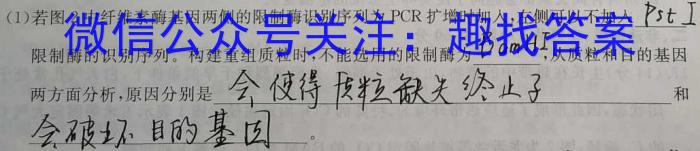 河南省2024年春期九年级结业考试数学