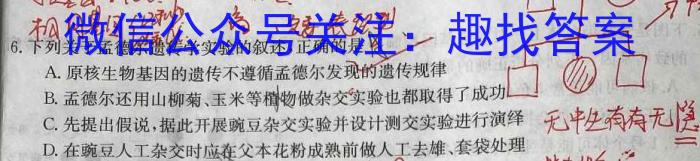 2023年贵州省高一年级6月联考（23-503A）数学