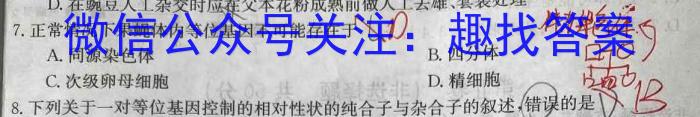 河南省洛阳创新发展联盟2024届高三阶段性检测(23-583C)生物