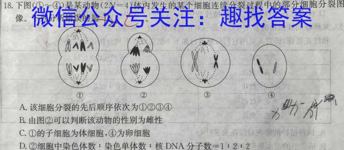 河南省新乡市2023-2024学年八年级第一学期学习评价（2）数学