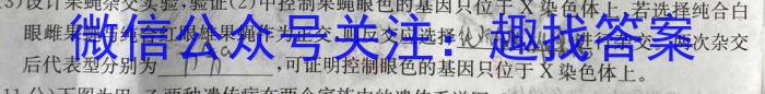 2023届中考导航总复习·模拟·三轮冲刺卷(一)1数学