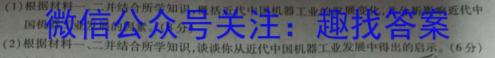 河南省2022~2023学年度八年级下学期期末综合评估 8L HEN历史