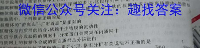 2023年高考全国甲卷数学(理)真题文理 数学