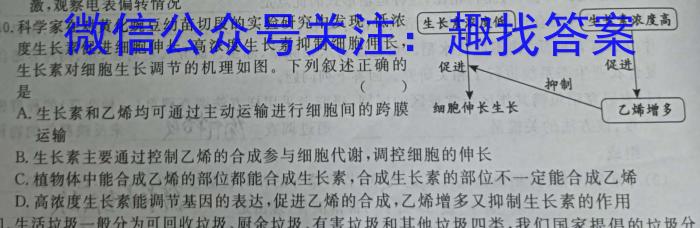 衡中同卷2023-2024学年度上学期高三七调(新高考)数学