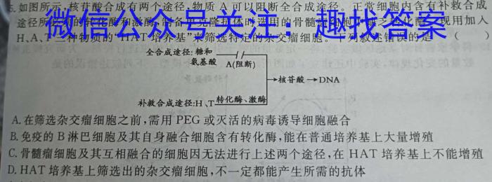 2023-2024学年重庆一中高三模拟考试(2024.5.28)数学