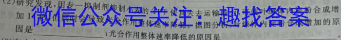 2024年河南省中招重点初中模拟联考(一)1数学