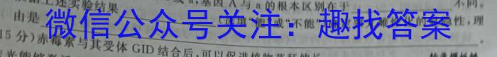 安徽省2023-2024学年七年级上学期期末学情监测(试题卷)数学