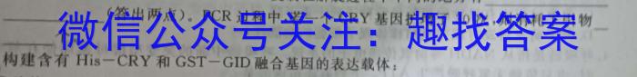 河北省2023~2024学年高三(上)期中考试(24-165C)数学