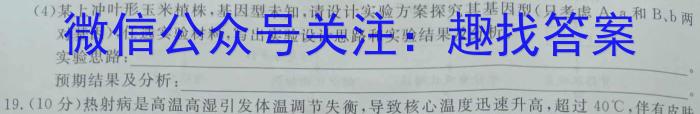 河北省2023~2024学年度第一学期九年级期末质量监测(24-CZ88c)数学